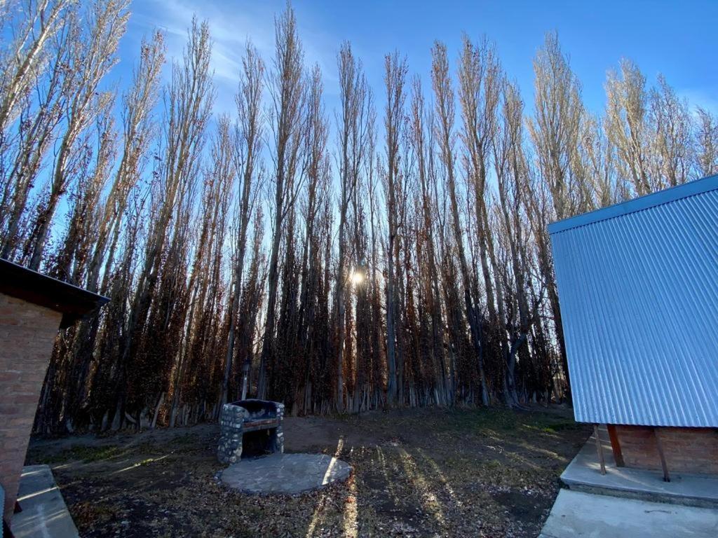 Hostería&Cabañas Río Fénix Perito Moreno Exterior foto