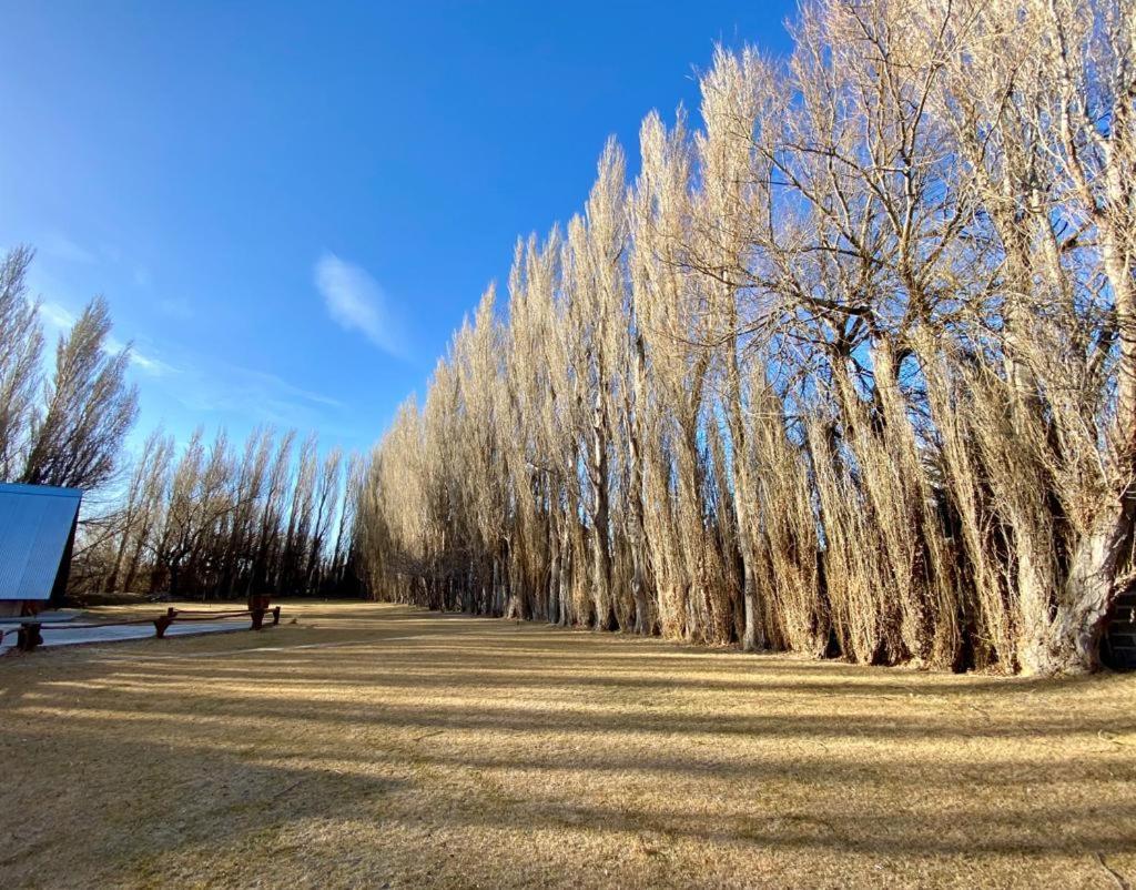 Hostería&Cabañas Río Fénix Perito Moreno Exterior foto